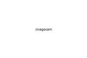 civagocam