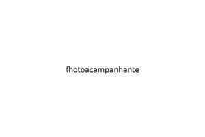 fhotoacampanhante