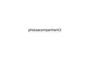 photoacompanhant3