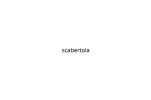 scabertola