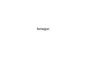 fernegun