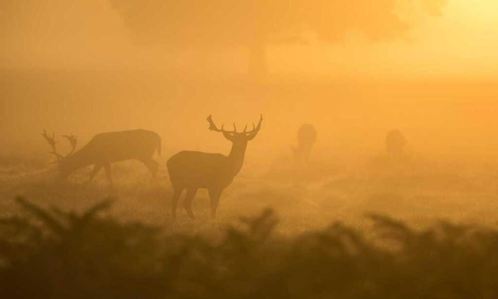how to turn on uy48lo air conditioner