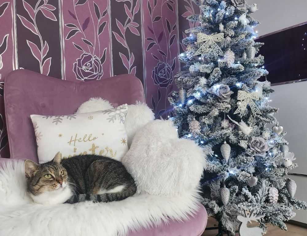 moxhit4.6.1 software testing