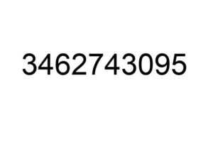 3462743095