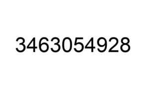 3463054928