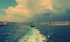 antivirus freedoor2.4.6.8