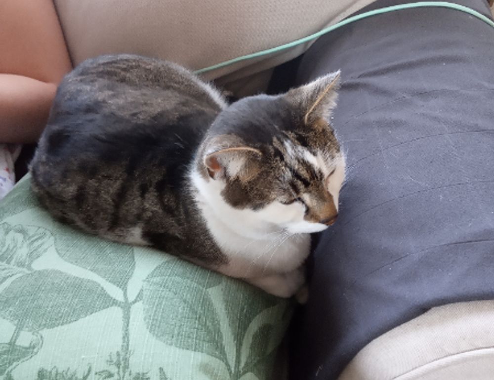 can i get susbluezilla