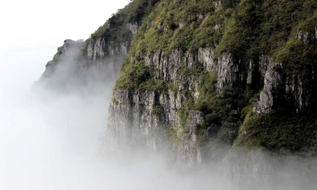 how to be good at biohunt2000 game pc