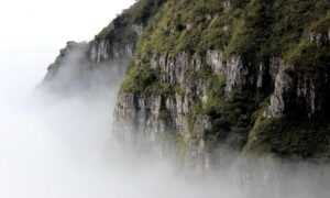 how to be good at biohunt2000 game pc