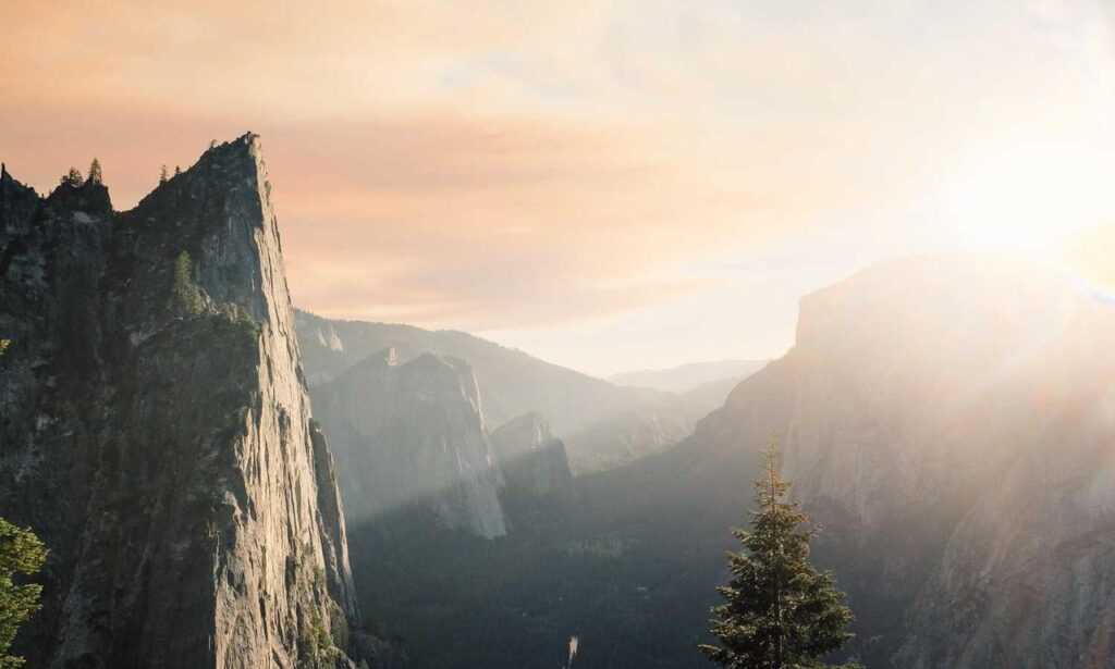 how to open feduspray