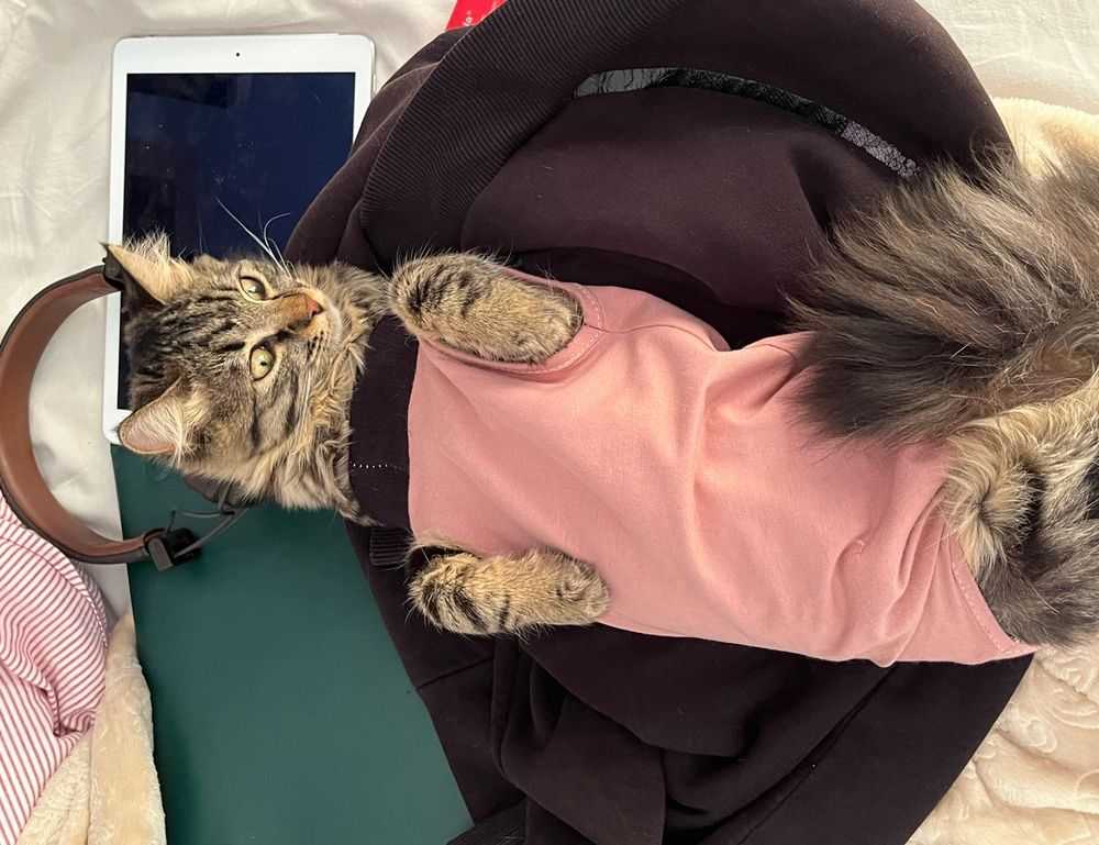 what are 5ah9.6max0 python software requirements