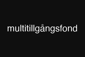 multitillgångsfond