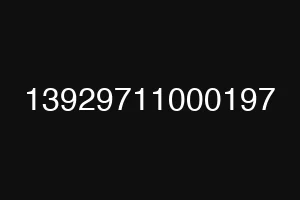 13929711000197