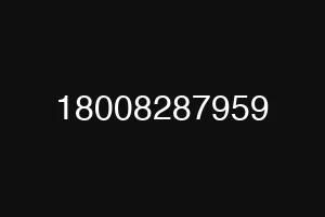 18008287959