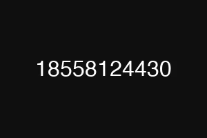 18558124430