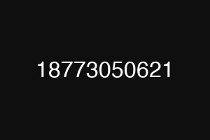 18773050621