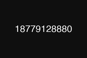 18779128880