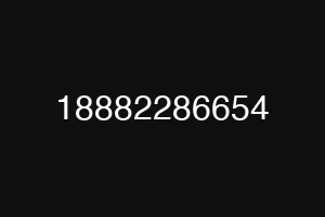 18882286654