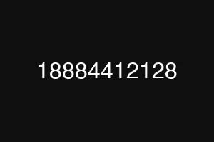 18884412128