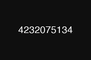 4232075134