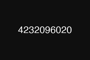 4232096020