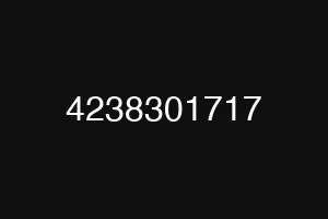 4238301717