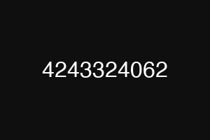 4243324062