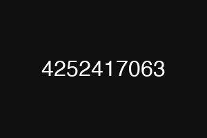 4252417063