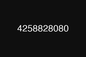 4258828080