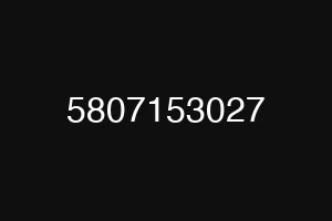 5807153027