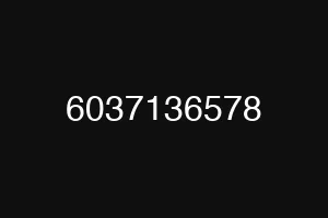 6037136578