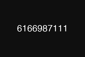 6166987111