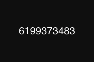 6199373483
