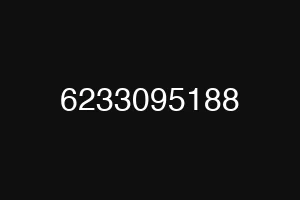 6233095188