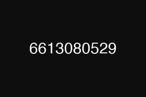 6613080529