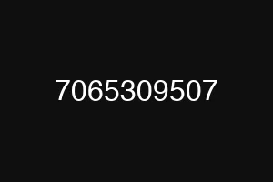 7065309507