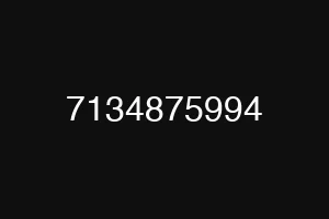 7134875994
