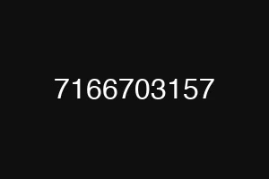 7166703157