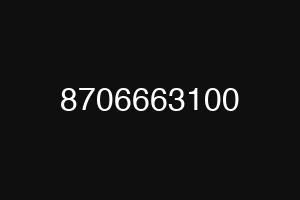 8706663100
