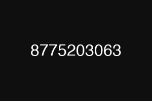 8775203063