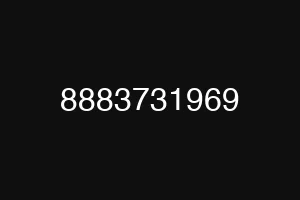 8883731969