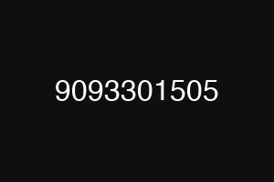 9093301505