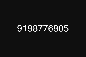 9198776805