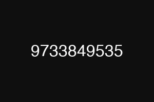 9733849535